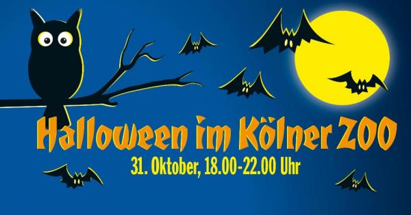 Halloween Im Kolner Zoo 2019 Alles Zum Gruselspass Koeln De