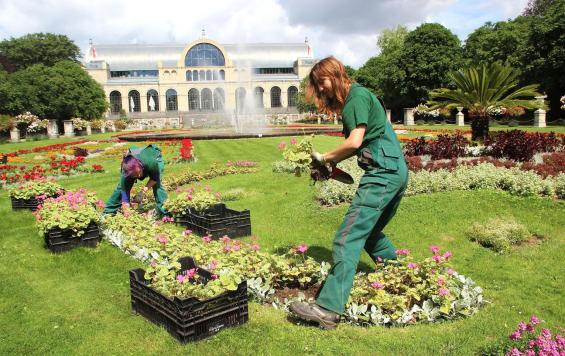 Stadt Lässt 230000 Blumen Blühen Koelnde