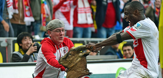 Anthony Ujah Entschuldigt Sich Bei Hennes Viii Koeln De