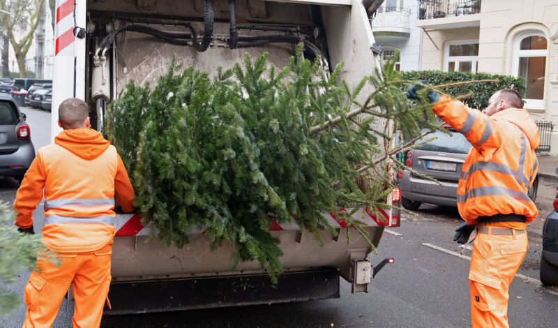 Mitarbeiter der Müllabfuhr werfen einen alten Weihnachtsbaum in einem Müllwagen