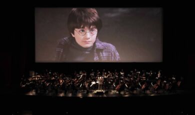 Harry Potter live in Concert