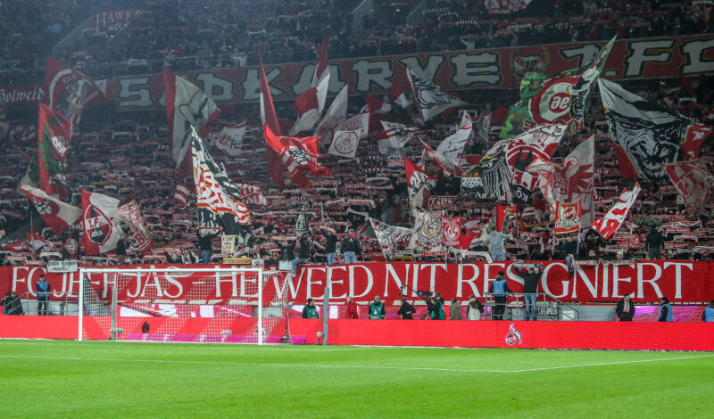 FC Fans im Stadion