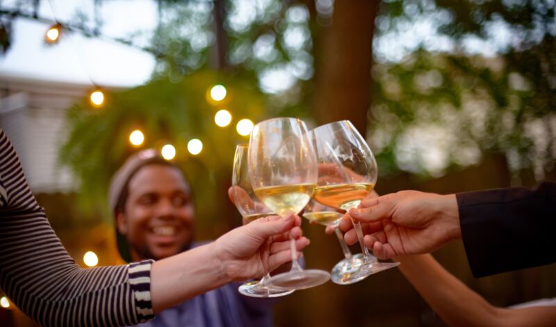 Gruppe Menschen stößt in einem Garten mit Weißwein an