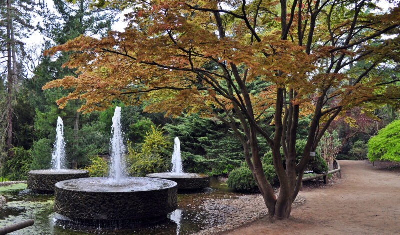 Das Foto zeigt drei Sprungbrunnen im Forstbotanischer Garten in Köln.