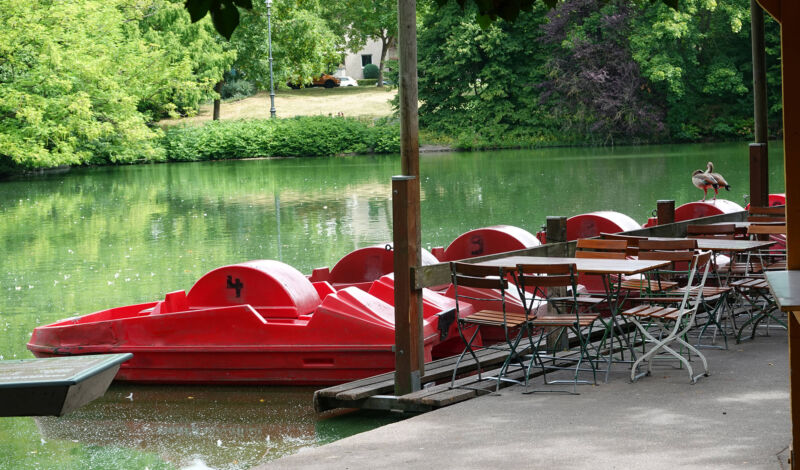 Das Foto zeigt Tretboote in einem Teich im Kölner Volksgarten.