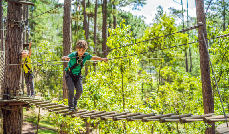 Junge im Kletterwald