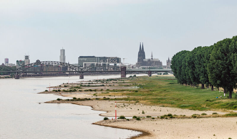 Die Poller Wiesen bei Niedrigwasser mit der Südbrücke, den Kranhäusern ud dem Kölner Dom im Hintergrund.