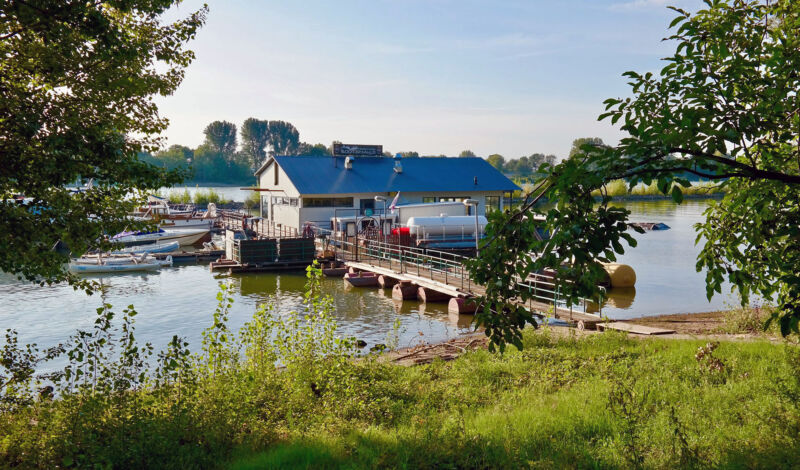 Blick zwischen Bäumern hindurch auf das im Rhein vertäte Bootshaus in Köln-Sürth