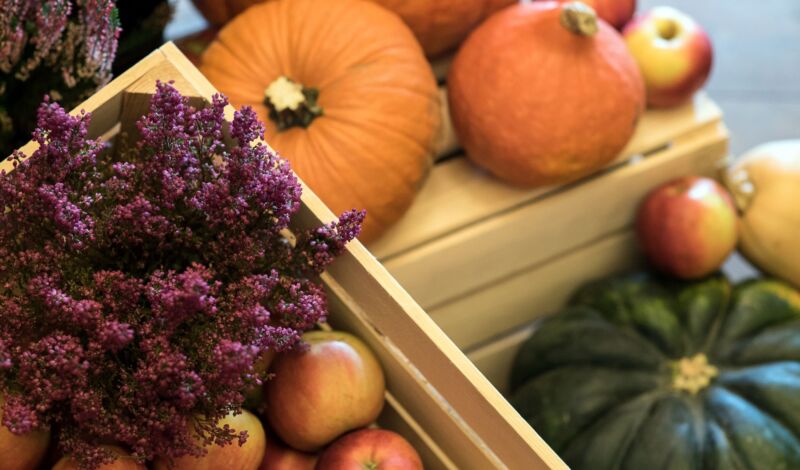 Herbstliche Deko mit Kürbissen