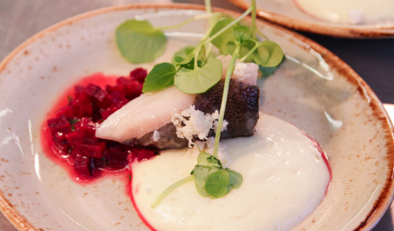 Ein Cateringservice serviert Fisch mit Roter Bete auf einem Schaumbett.