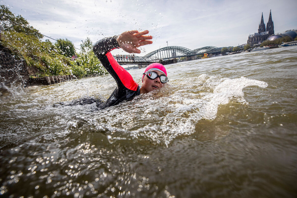 Triathleten starten beim Carglass Köln-Triathlon ihr Schwimmen im Rhein. Schwimmstart der Sprint-Distanz.