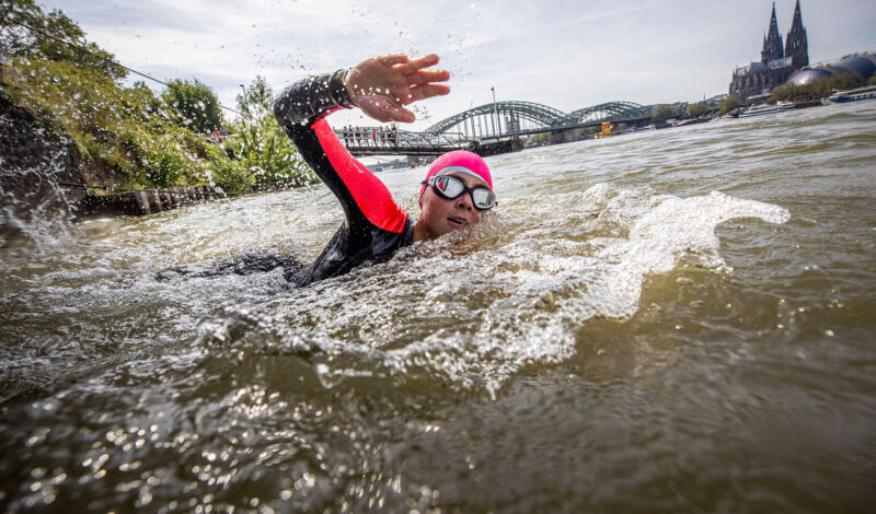 Triathleten starten beim Carglass Köln-Triathlon ihr Schwimmen im Rhein. Schwimmstart der Sprint-Distanz.