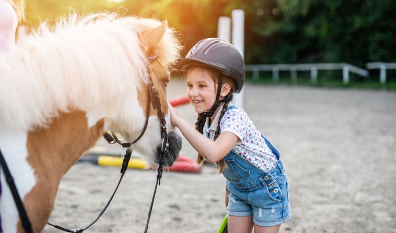 Mädchen streichelt ein Pony