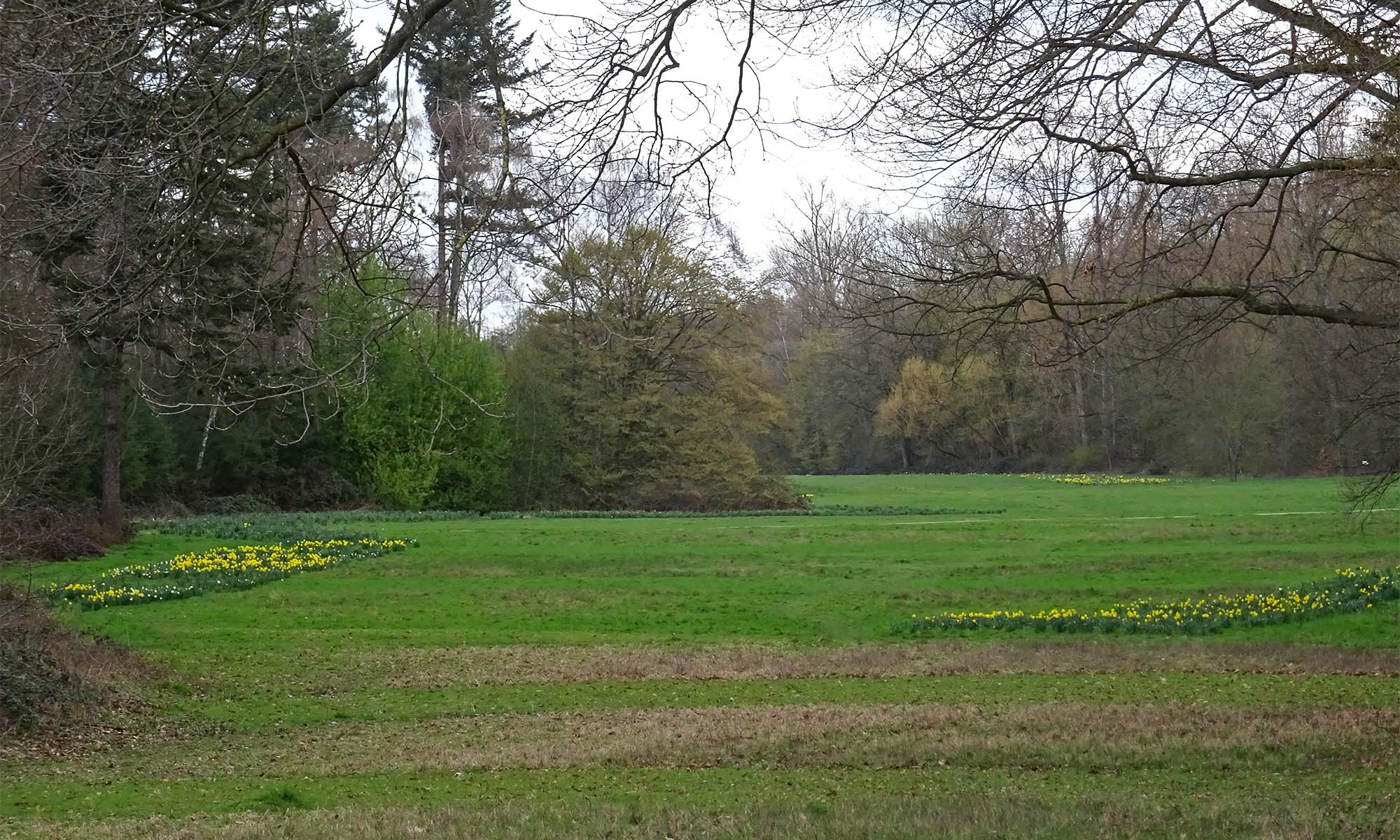 Parklandschaft mit Wiese im Äußeren Grüngürtel im Kölner Norden