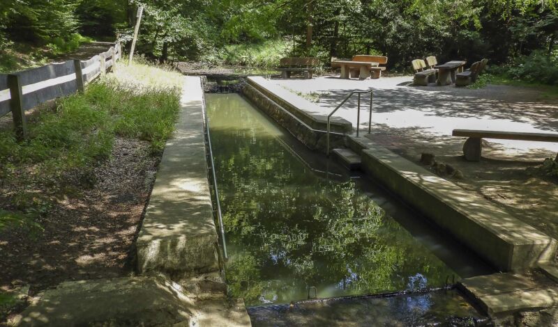 Wassertretbecken am Giesbach im Kölner Königsforst