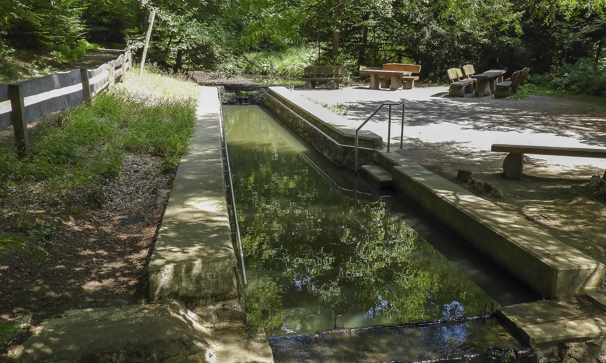 Wassertretbecken am Giesbach im Kölner Königsforst