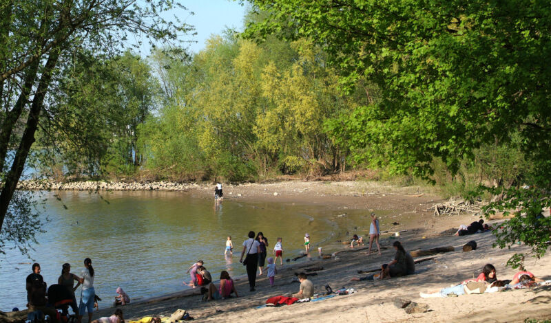 Das Bild zeigt Ruhesuchende in einer Bucht der Groov in Zündorf.