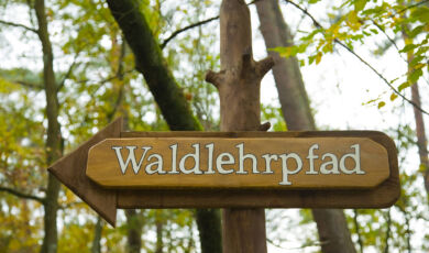 Schild des Waldlehrpfad im Königsforst