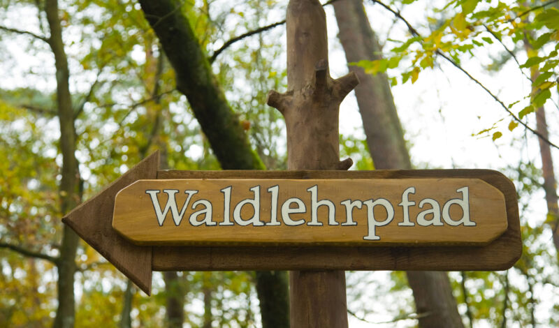 Schild des Waldlehrpfad im Königsforst