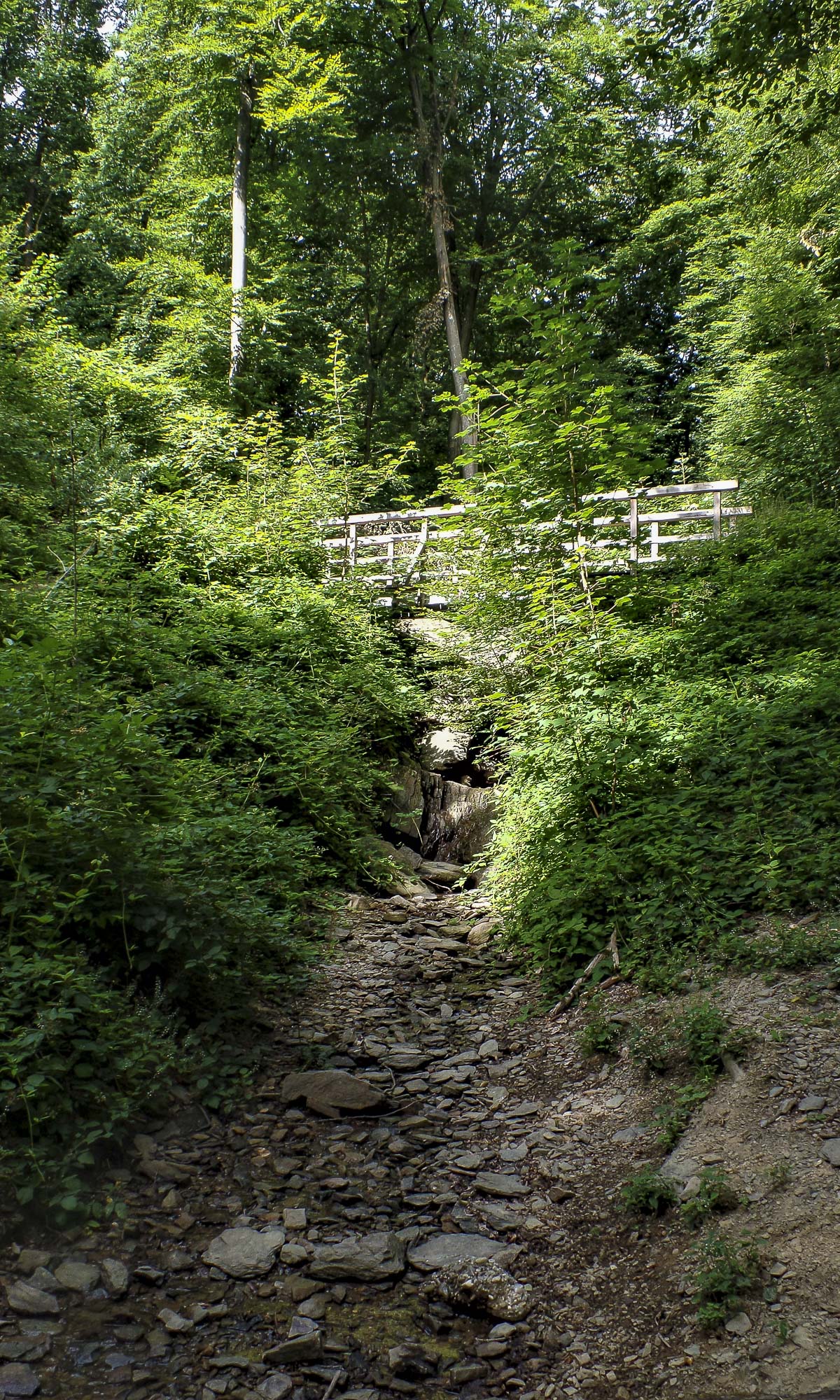 Der Dorperhofer Siefen im Wald nahe Solingen