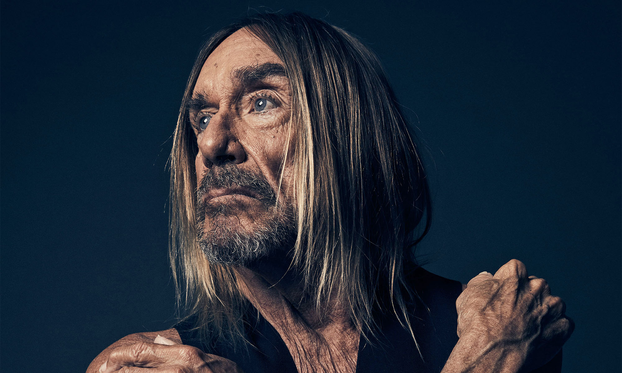 Ein Porträt des Rockmusikers Iggy Pop vor einem dunkeln Hintergrund