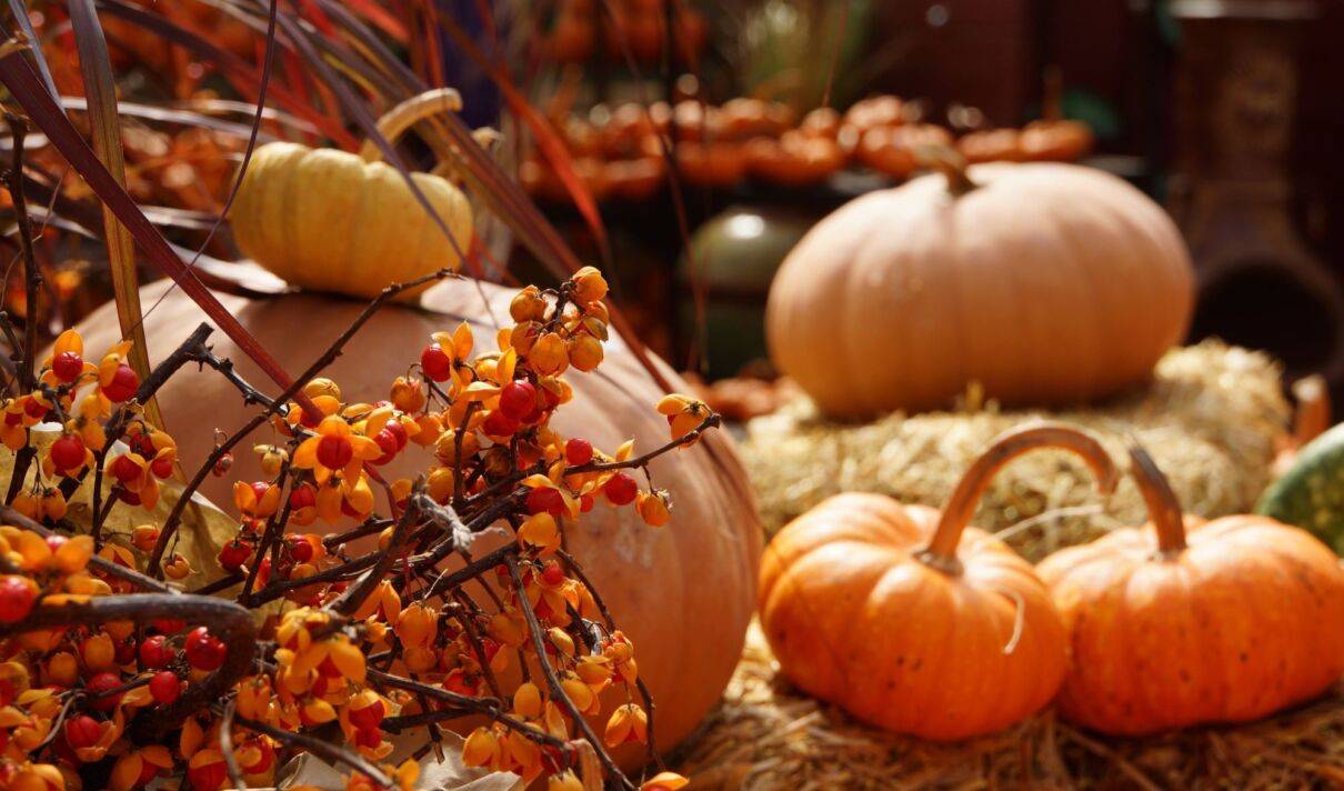 Herbstliche Deko mit Kürbissen